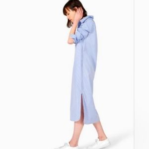 Everlane Oxford Stripe Classic Button-down shirt dress sz 10 midi blue/white l/s